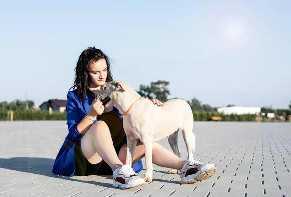 Junge attraktive Frau spielt mit ihrem Hund im Park — Stockfoto