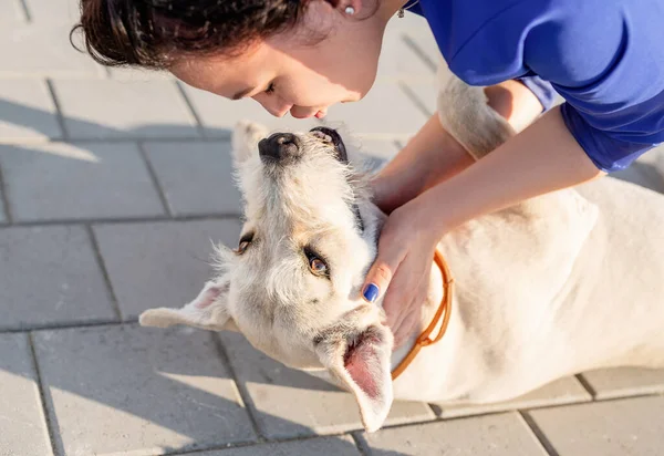 Cuidado Mascotas Adopción Mascotas Mujer Joven Besando Perro Raza Mixta — Foto de Stock