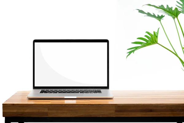 Pantalla en blanco del ordenador portátil en la planta verde de madera de la tabla en backgro blanco Imágenes De Stock Sin Royalties Gratis