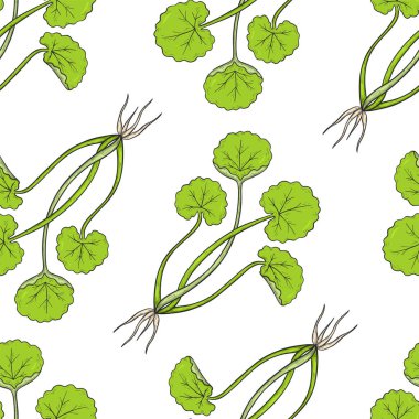 Centella asiatica dikişsiz desen