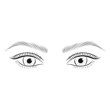 Woman's eyes and eyebrows.  clipart