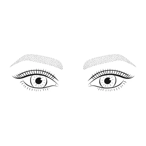 Woman's eyes and eyebrows. — Stock Vector