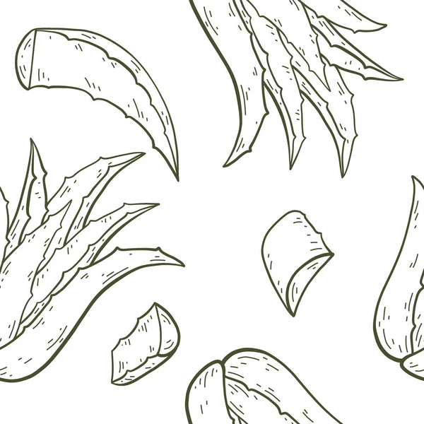 Seamless pattern of Aloe vera. — Stock Vector