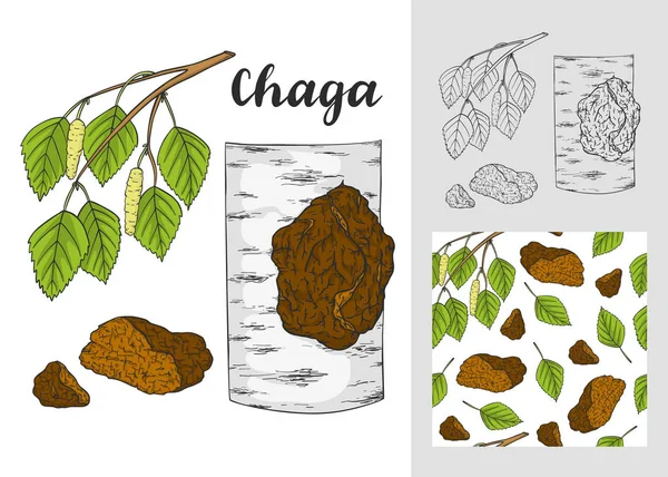 Conjunto de cogumelos Chaga (Inonotus obliquus). com padrões sem costura . —  Vetores de Stock