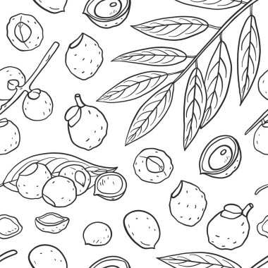 Sapindus mukorossi dikişsiz desen (sabun fıstığı, soapberry, wa