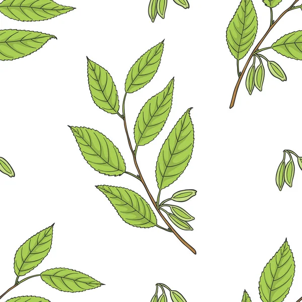 Eucommia ulmoides dikişsiz desen (Hardy Kauçuk Ağacı). 