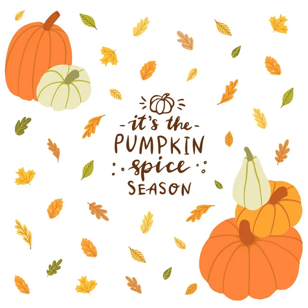 It's the pumpkin spice season. — Stock Vector