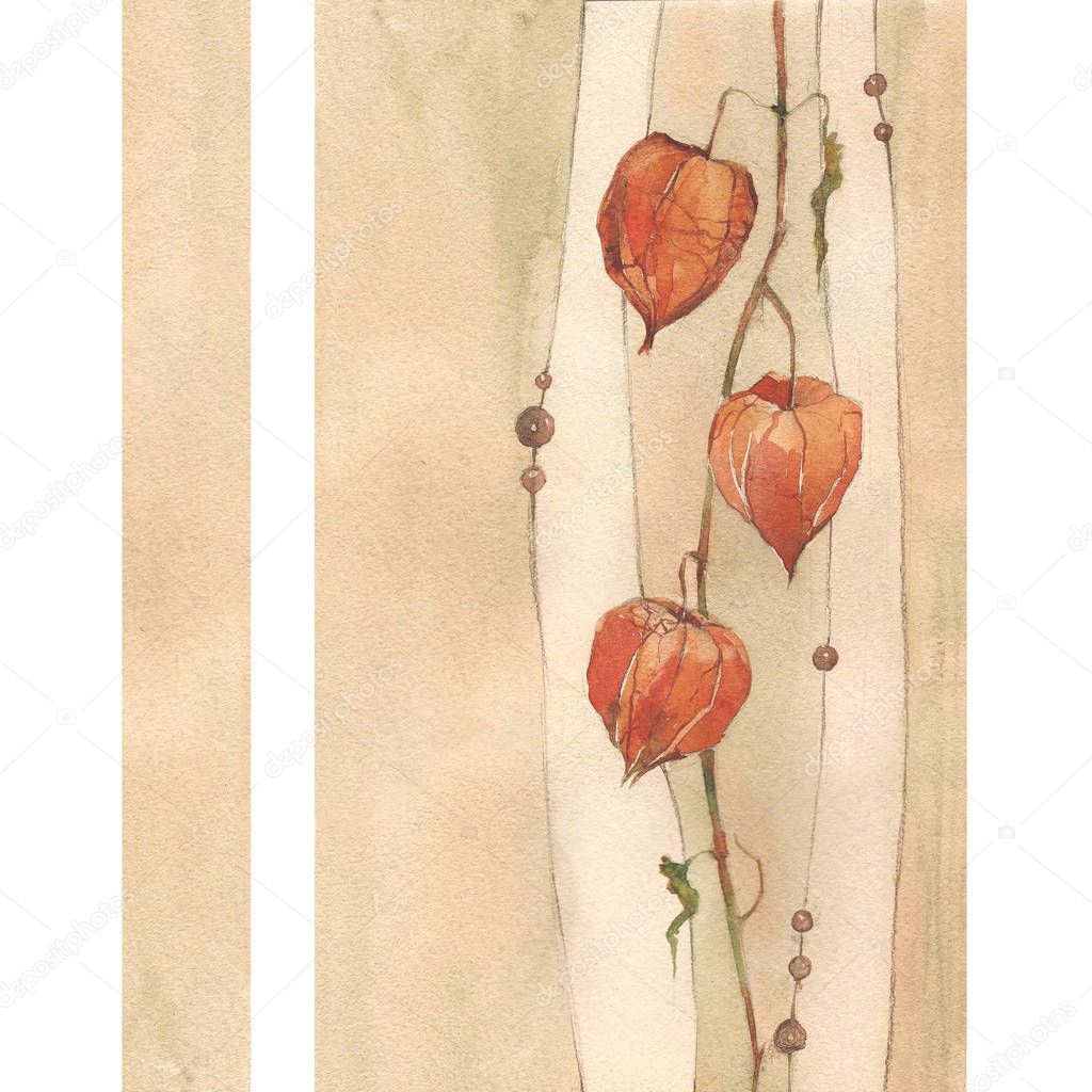 Dried flowers: physalis. Beautiful vintage botanical watercolor on a beige background. Elegant plant in square format. A rich texture of strokes and fills.