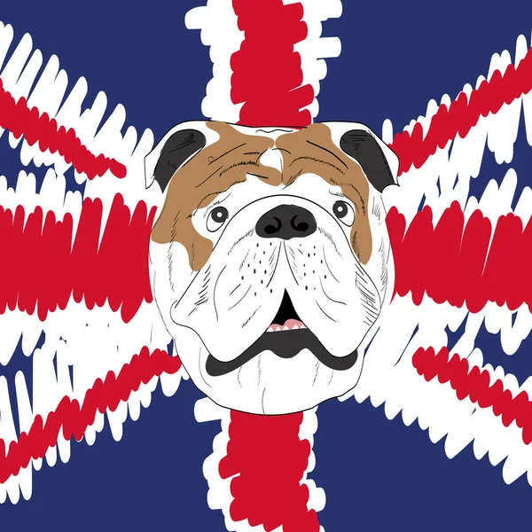 English Bulldog Vector Illustration Icon — Stock Vector