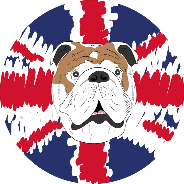 English Bulldog Vector Illustration Icon — Stock Vector