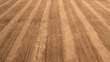 Gozlerime satır deseni bitkileri ilkbaharda dikim için hazırlanan sürülmüş bir alanda en iyi havadan görünümü