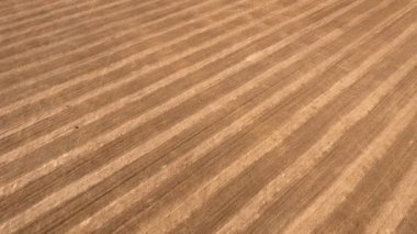 bir dron bir donmuş nehir, su ve buz üzerinde uçan bir donmuş nehir üzerinde