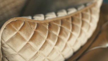 Deri desen arka plan doku için oturma odasında bir altın lüks kanepe ve kapatın