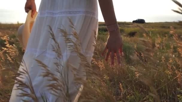 En un día soleado, una mujer camina a lo largo de un campo de trigo con un vestido blanco, con un sombrero de paja sobre un fondo natural — Vídeo de stock