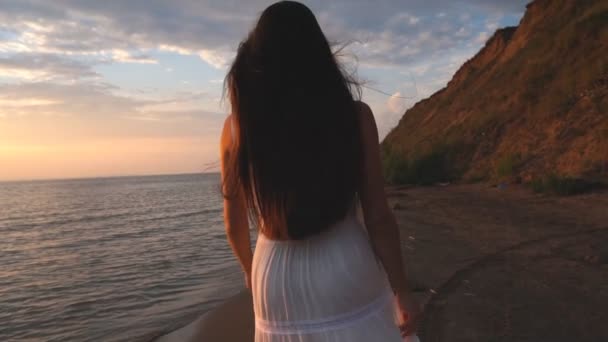 Vacker kvinna med långt hår promenader på stranden, bakifrån — Stockvideo