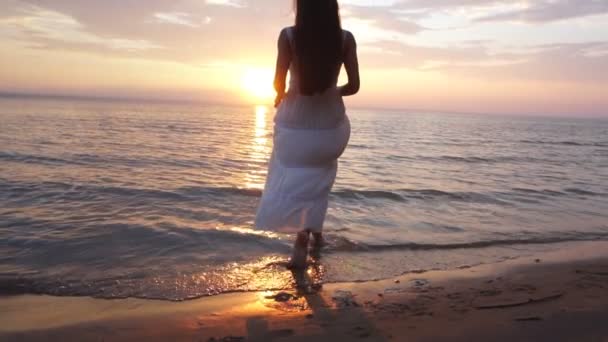 Krásná brunetka chodí do moře při západu slunce — Stock video
