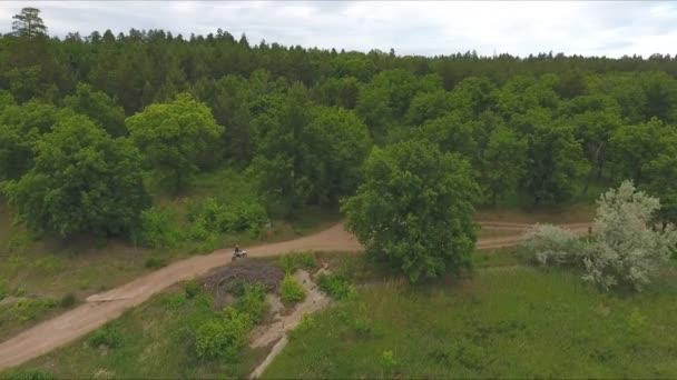 Luftaufnahme eines Motorradfahrers auf einer kurvenreichen Landstraße durch ein sattgrün bewaldetes Gebirgstal — Stockvideo