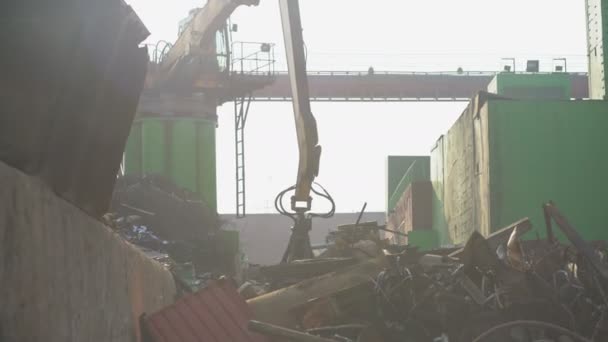 Recycling industry. Business Recycling.Waste separation. — Stock Video