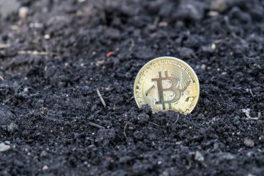 Bitcoin yerde yatıyor. Popülerlik büyüyen bitcoin sembolü