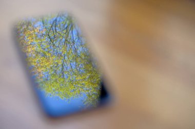 Smartphone ekran bulanık fotoğraf ağaçların üzerinden mavi gökyüzünün yansıması ile