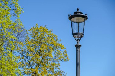 Vintage lamba sonrası yakın çekim ağaçların üzerinden mavi gökyüzü ile