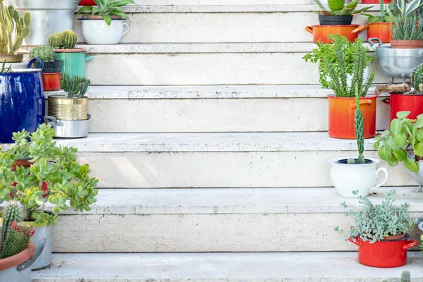 夏に鍋の美しい花と白い階段を自宅 — ストック写真