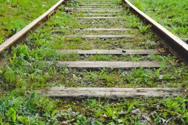 Çim ile büyümüş bir terk edilmiş tren.