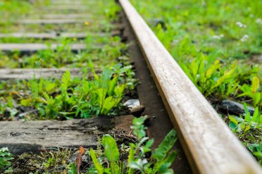 Çim ile büyümüş bir terk edilmiş tren.