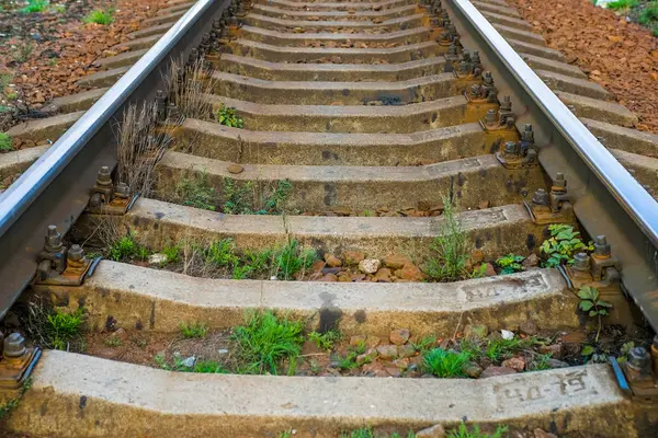 Elektrikli trenler için modern demiryolu