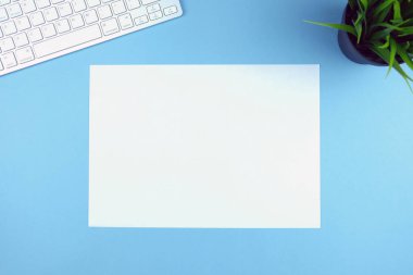 Kompakt beyaz kablosuz klavye mavi backgroundwith bir bitki üzerinde ve beyaz kağıt. Kopya alanı.
