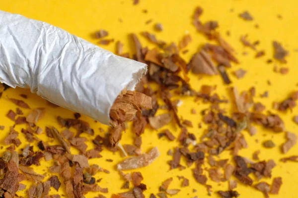 Cigarro Amassado Com Uma Fileira Tabaco Espalhado Fundo Amarelo Fechar — Fotografia de Stock