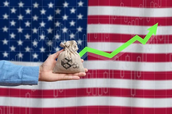 Concepto Crecimiento Económico País Estados Unidos América Mano Sostiene Una —  Fotos de Stock