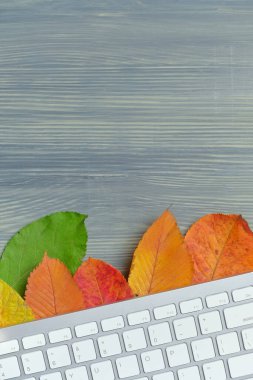 Kurumuş yaprakların üzerinde klavye ile sonbahar konsepti.