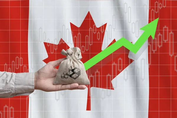 Concepto Crecimiento Económico Canadá Mano Sostiene Una Bolsa Con Dinero —  Fotos de Stock