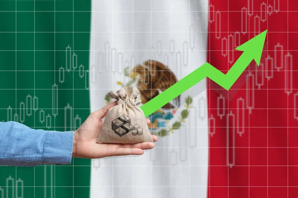 Concepto Crecimiento Económico Estados Unidos Mexicanos Mano Sostiene Una Bolsa —  Fotos de Stock