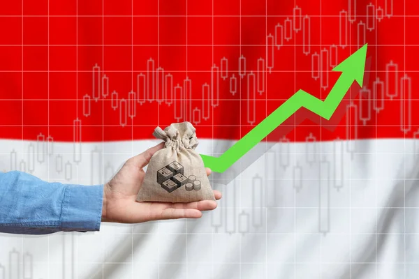 Concepto Crecimiento Económico República Indonesia Mano Sostiene Una Bolsa Con —  Fotos de Stock