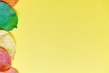 Üst görünüm konsepti, sarı arkaplanda kuru yapraklarla sonbahar.