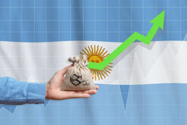 Conceito Crescimento Econômico República Argentina Mão Segura Saco Com Dinheiro — Fotografia de Stock