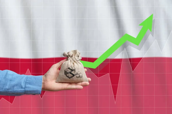 Conceito Crescimento Económico República Polónia Mão Segura Saco Com Dinheiro — Fotografia de Stock