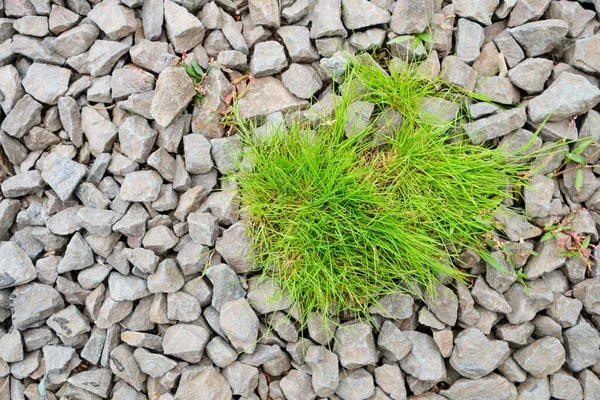 Komplex Affärsidé Att Övervinna Krisen Ekonomin — Stockfoto