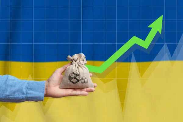 우크라이나의 성장의 개념이다 손에는 돈이든 가방을 치솟는 화살을 — 스톡 사진