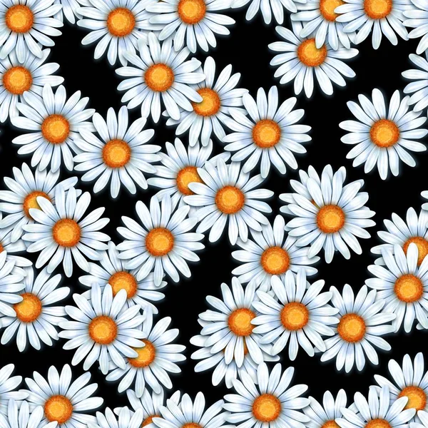 Chamomiles. Seamless pattern with daisy flowers