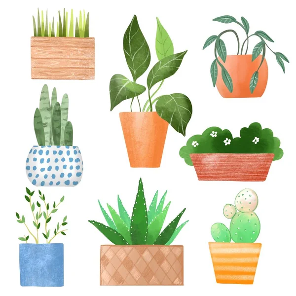 Saksı bitkileri. Çizgi film seti