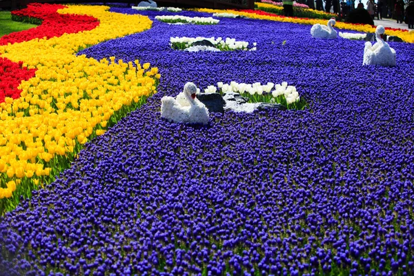 Festival Fleurs Turquie — Photo