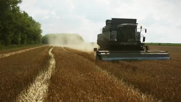 Поєднати Роботу Збирання Пшениці — стокове відео