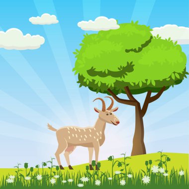 Bir arka plan manzara, Güneş, gündoğumu bir çayırda otlatma keçi, çiçekler, karikatür tarzı, illüstrasyon vektör