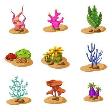 Deniz yeşil algler deniz yosunu, bitki sualtı, beyaz arka plan, vektör, karikatür tarzı izole