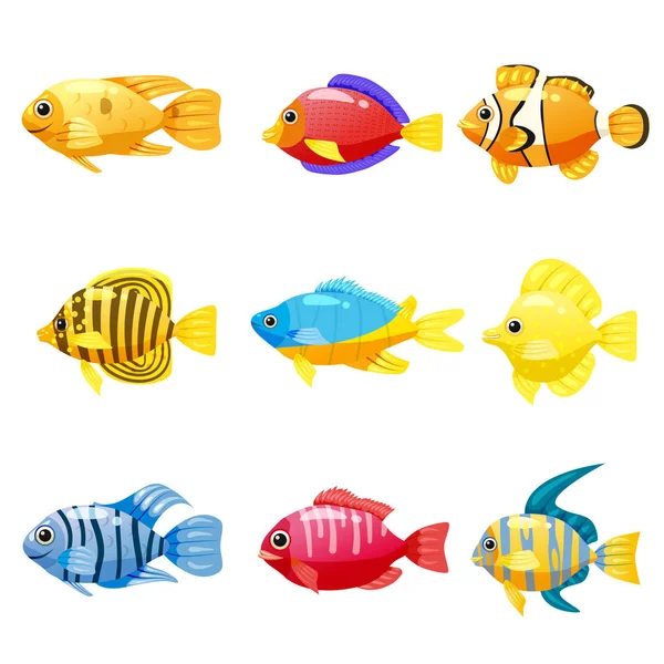 Conjunto de desenhos animados Personagens vetor de peixe engraçado. Coral colorido recife peixe tropical conjunto vetor ilustração. Coleção de peixes marinhos isolados sobre fundo branco. Isolados — Vetor de Stock