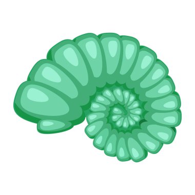 Sevimli parlak yeşil çizgi seashell simgesi. Beyaz arka plan üzerinde izole renkli kabuklu deniz ürünleri sembolü. Karikatür tarzı. Vektör çizim.