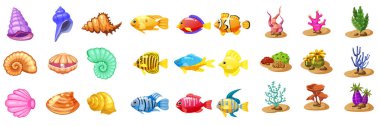 Deniz kabuğu, renkli mercan resif tropikal balık, inci, renkli mercan ve yosun, vektör oyun simgeleri için maç üç oyun, apps beyaz arka plan üzerinde beyaz arka plan karikatür. İzole öğeleri.